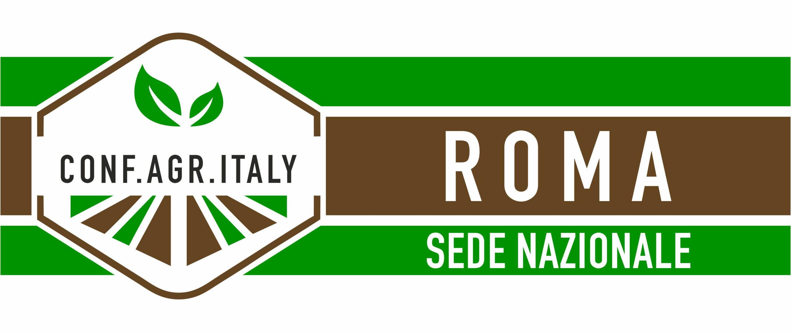 News Sede Roma Nazionale