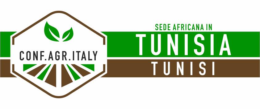 Sede-estero-tunisi